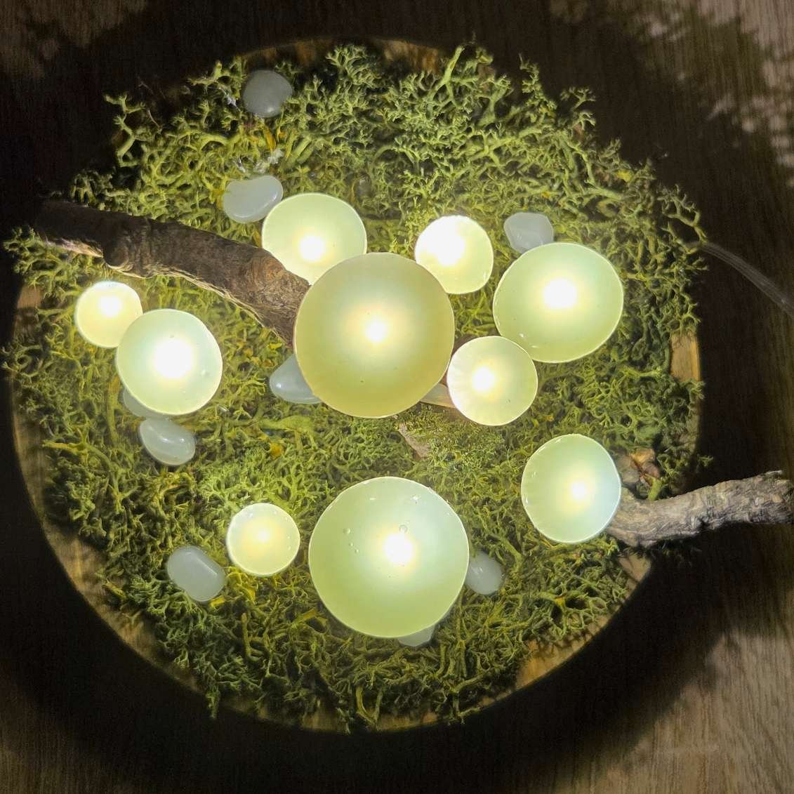 Foszforeszkáló gombás hangulatlámpa - Image 4