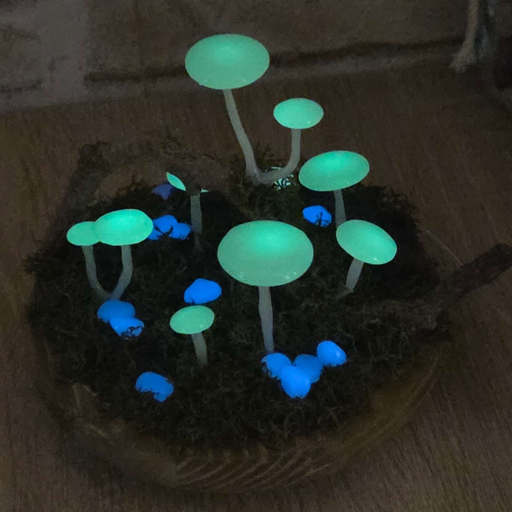 Foszforeszkáló gombás hangulatlámpa - Image 6