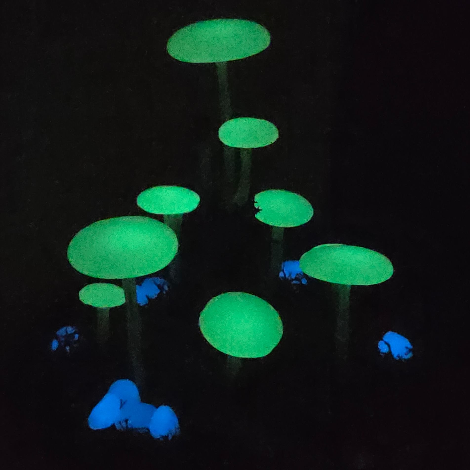 Foszforeszkáló gombás hangulatlámpa - Image 2