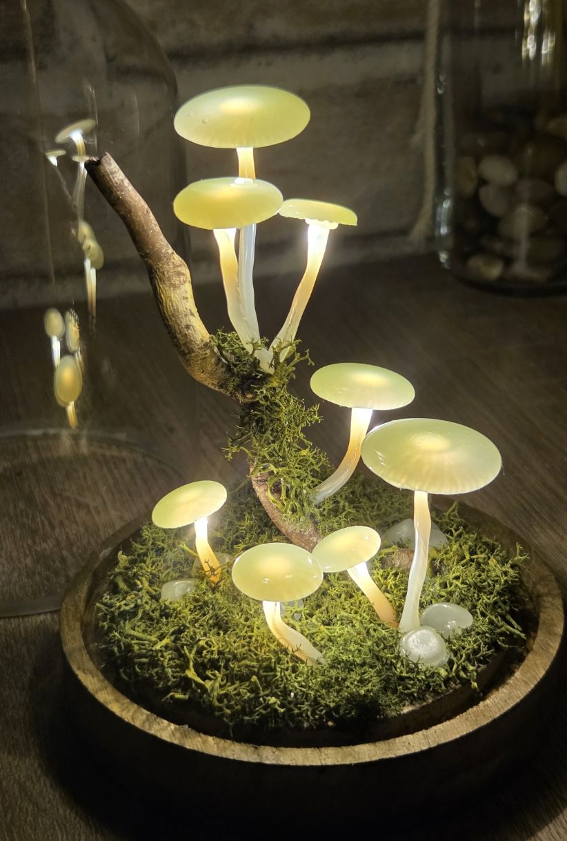 Foszforeszkáló gombás úvegbúra - Image 2