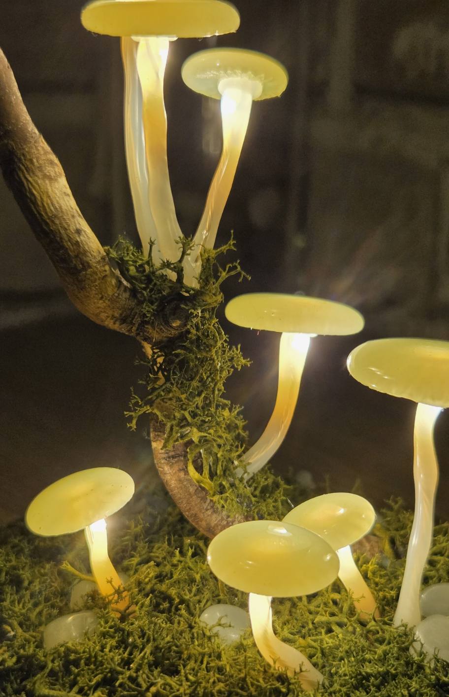 Foszforeszkáló gombás úvegbúra - Image 3