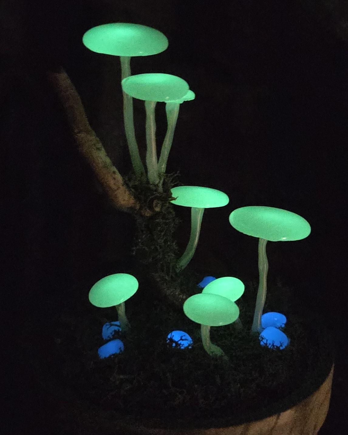 Foszforeszkáló gombás úvegbúra - Image 5